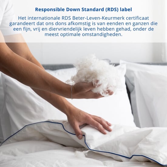Fabiola Oostenrijks dons 4-seizoenen dekbed halfdons dekbed luxe en lekker - Image 4