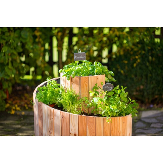 Westmann Plantenbak spiral wm102424 houten kruidenbak 55cm - Image 5