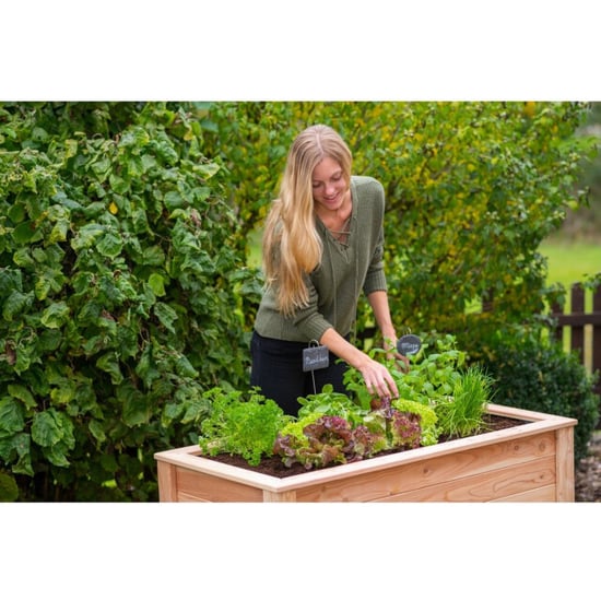 Westmann Verhoogde plantenbak wm102422 moestuin op poten - Image 4