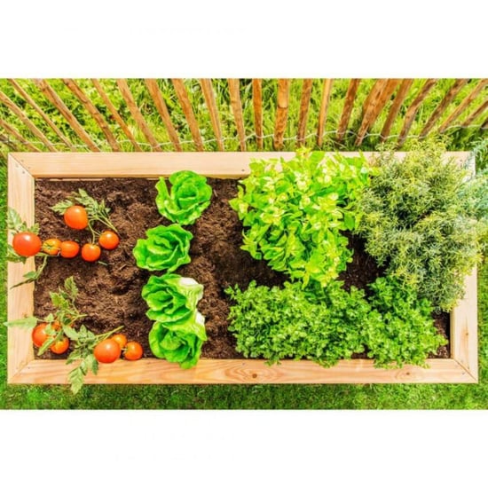 Westmann Plantenbak kruidenbak wmhl170 170x90x84 cm - Image 5