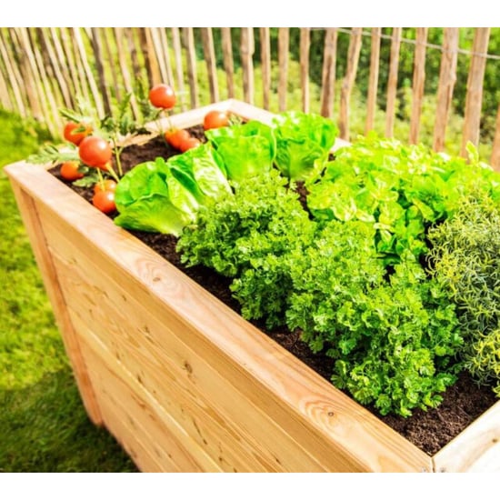 Westmann Plantenbak kruidenbak wmhl170 170x90x84 cm - Image 6