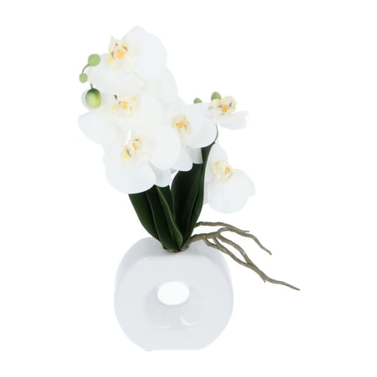 Kopu ® kunstbloem te orchidee 35 cm in mooie te vaas phalenopsis - Image 5