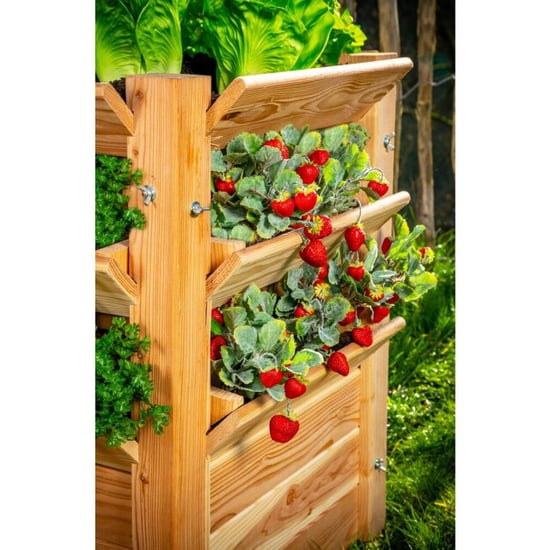 Westmann Plantenbak kruidenbak wm102408 91x124x73 cm - Image 5
