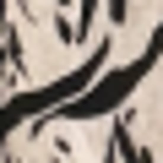 Cream And Black Brush Stroke Print Shawl Collar Open Front Blazer - Image 5