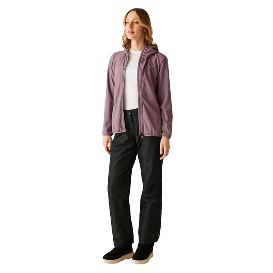 Dare 2B Dames/Dames Iced Soft Shell Jas (Heide) - Image 5