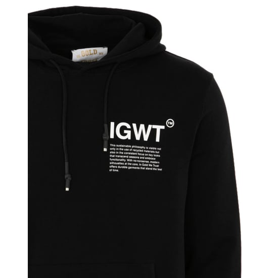 In Gold We Trust Heren the evolution - Image 4