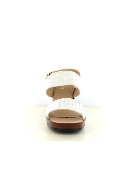 Bullboxer 256001e2l - Image 3