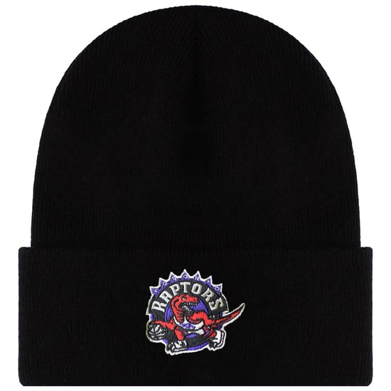 Mitchell & Ness NBA Toronto Raptors Team Logo Beanie - Image 1