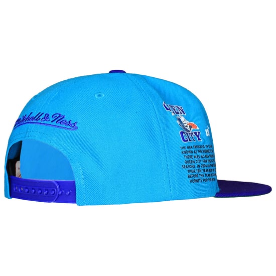 Mitchell & Ness NBA Charlotte Hornets Team Orgins Cap - Image 2