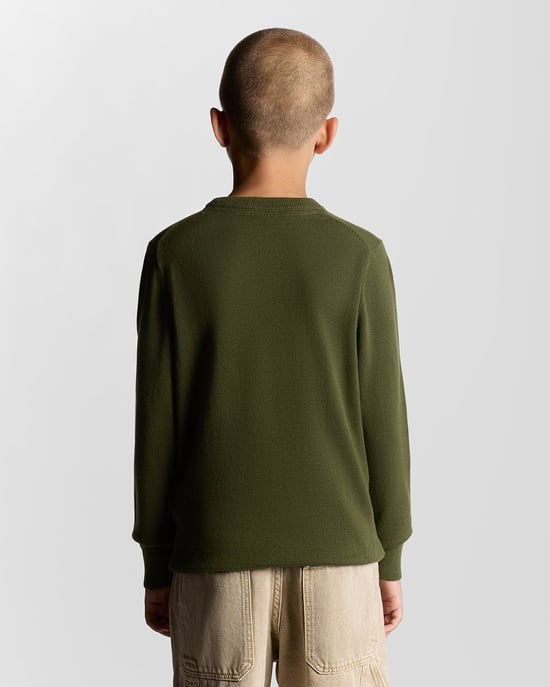 Lyle & Scott jongens katoenen ronde hals trui - Groen - Image 4
