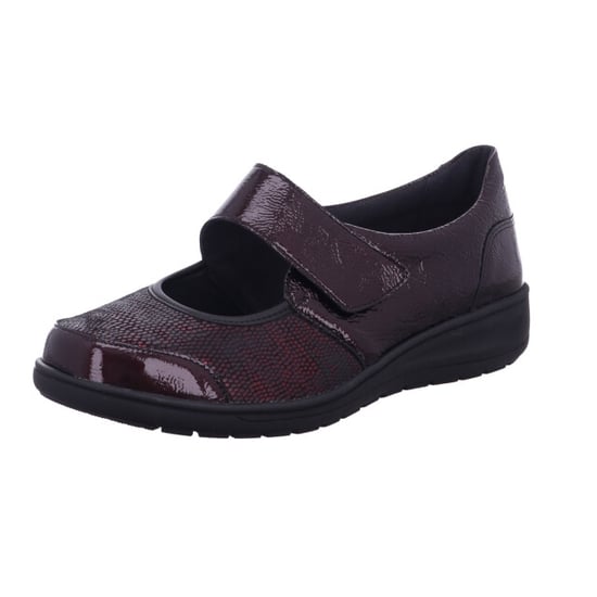 Solidus Kate - Image 1