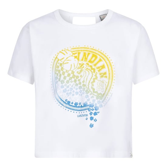 Indian Blue Ibgs24-3154 - Image 1
