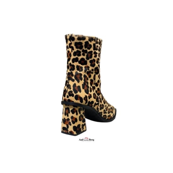 AvdB Damesschoenen enkellaarsjes - Image 3