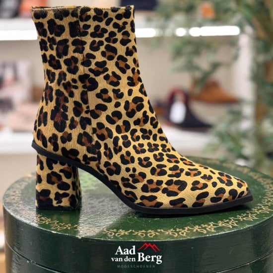 AvdB Damesschoenen enkellaarsjes - Image 5