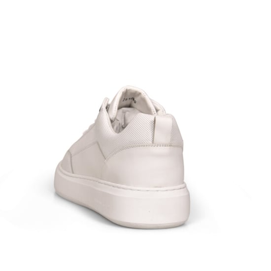 Cycleur de Luxe Cdlm251065 - Image 2