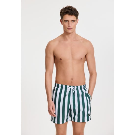 Shiwi 1441100200 broad stripe 7835 green leaf stripe swim short - Image 3
