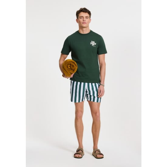 Shiwi 1441100200 broad stripe 7835 green leaf stripe swim short - Image 4