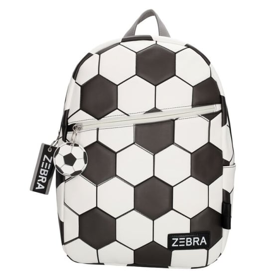 Zebra W01162 - Image 1