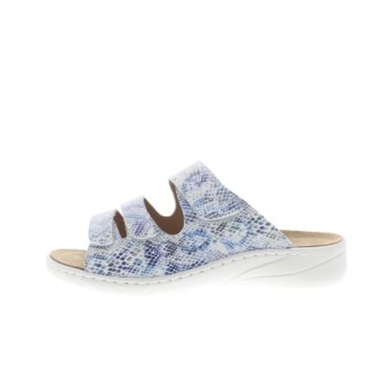 Solidus Wellness spezial g - Image 1