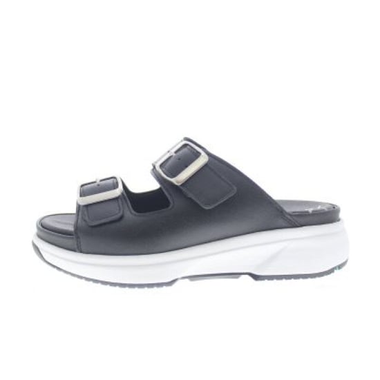 Xsensible Hawaii - Image 1