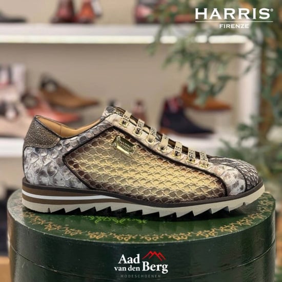Harris Herenschoenen sneakers - Image 4
