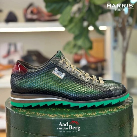 Harris Herenschoenen sneakers - Image 5