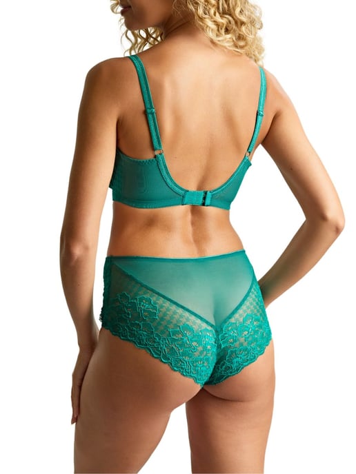 Envy Deep Brief - Image 4