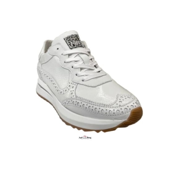 Floris van Bommel Damesschoenen sneakers - Image 2