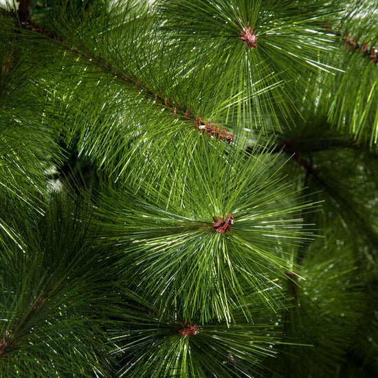 Homcom Kunstkerstboom 210 cm kunstkerstboom met 505 spikes kerstboom - Image 3