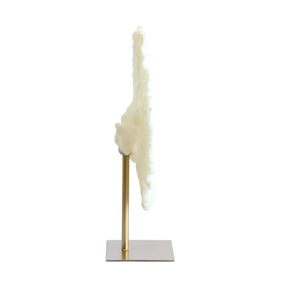 Light & Living ornament coral 46x20x69cm - - Image 3