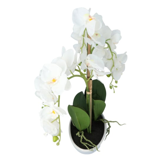 Kopu ® kunstbloem orchidee 53 cm met schaal ovaal phalenopsis - Image 2