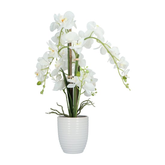 Kopu ® kunstbloem orchidee 67 cm in bloempot rond phalaenopsis - Image 2
