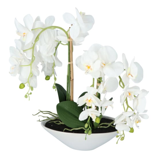 Kopu ® kunstbloem orchidee 53 cm met schaal ovaal phalenopsis - Image 4