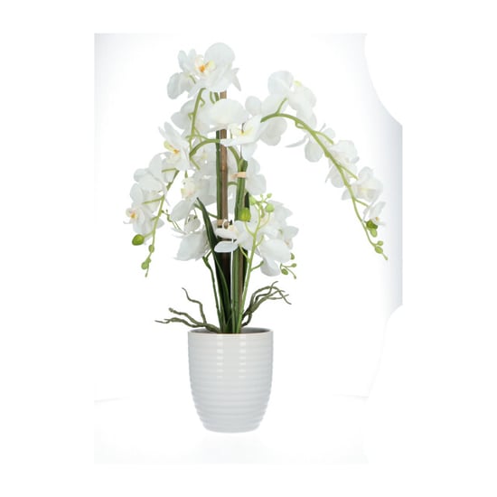 Kopu ® kunstbloem orchidee 67 cm in bloempot rond phalaenopsis - Image 3