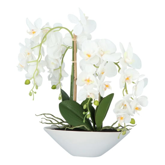 Kopu ® kunstbloem orchidee 53 cm met schaal ovaal phalenopsis - Image 5