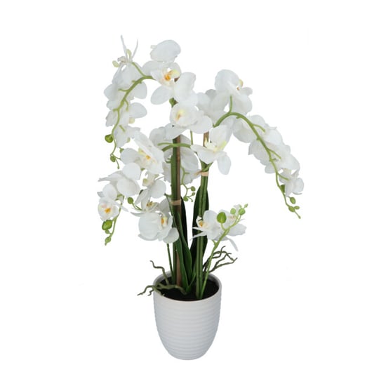 Kopu ® kunstbloem orchidee 67 cm in bloempot rond phalaenopsis - Image 4