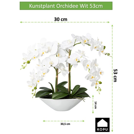 Kopu ® kunstbloem orchidee 53 cm met schaal ovaal phalenopsis - Image 6