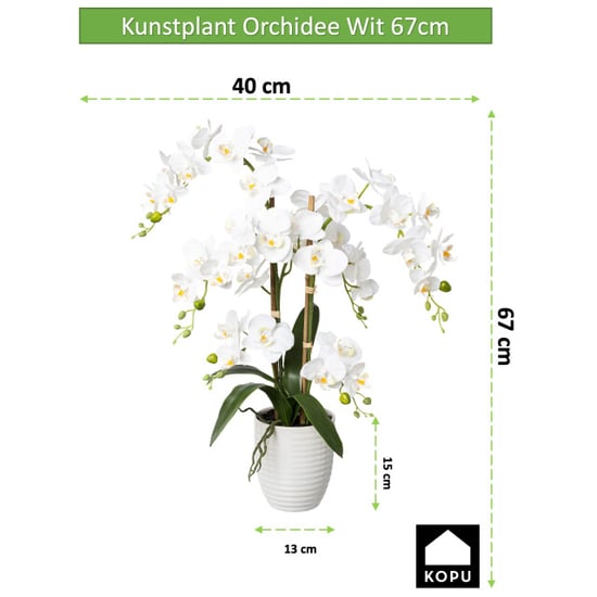 Kopu ® kunstbloem orchidee 67 cm in bloempot rond phalaenopsis - Image 5