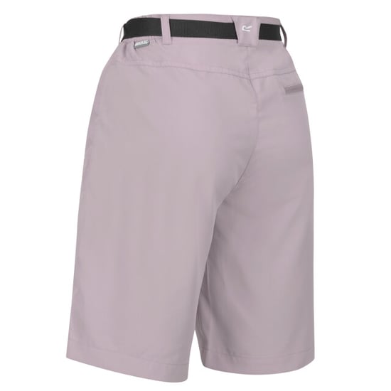 Regatta Dames xert stretch shorts - Image 4