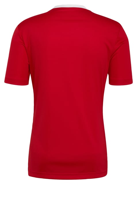 Entrada 22 Jersey - Image 3