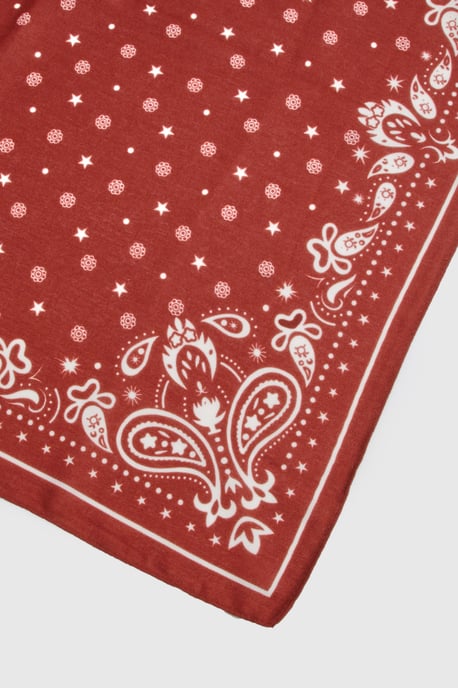 Red Neckerchief - Image 3