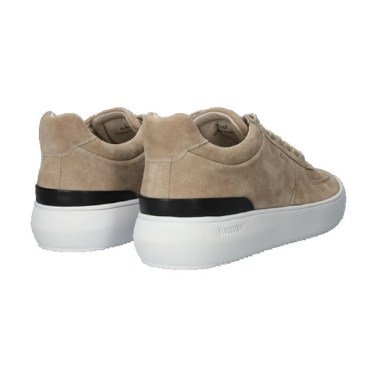 Blackstone Bg167 - Image 4