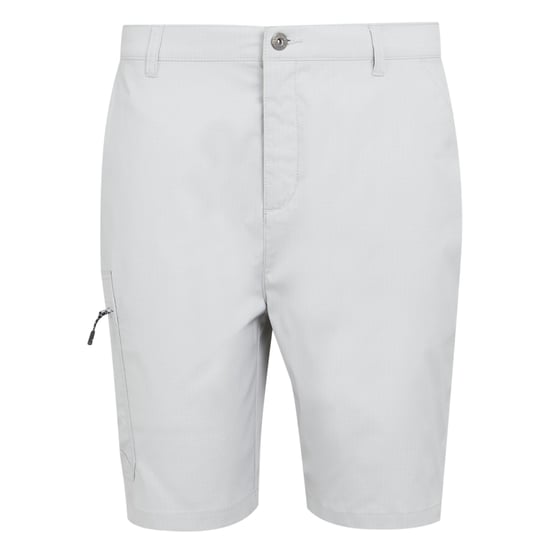 Regatta Mens Dalry Multi Pocket Shorts (Silver Grey) - Image 1