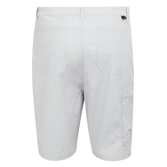 Regatta Mens Dalry Multi Pocket Shorts (Silver Grey) - Image 2