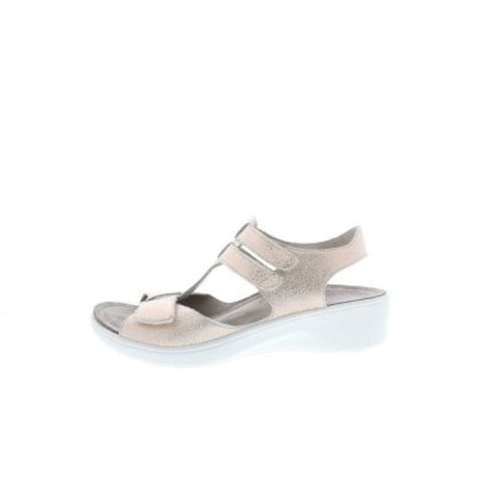 Solidus Gina g - Image 1