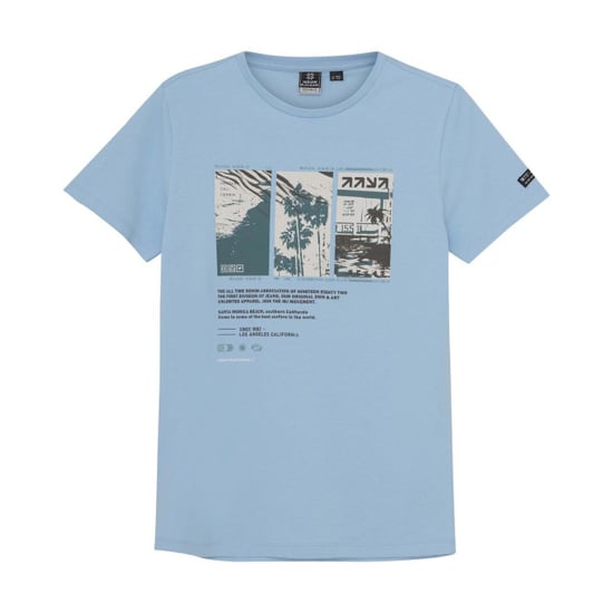 Indian Blue 960183 - Image 1