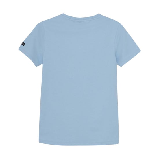 Indian Blue 960183 - Image 4