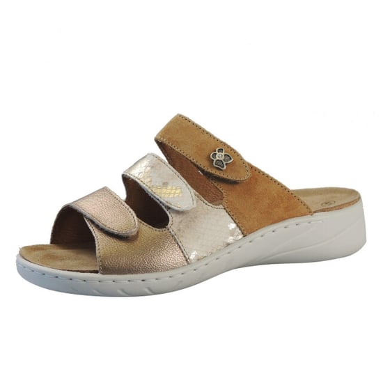 Solidus Wellness spezial - Image 1