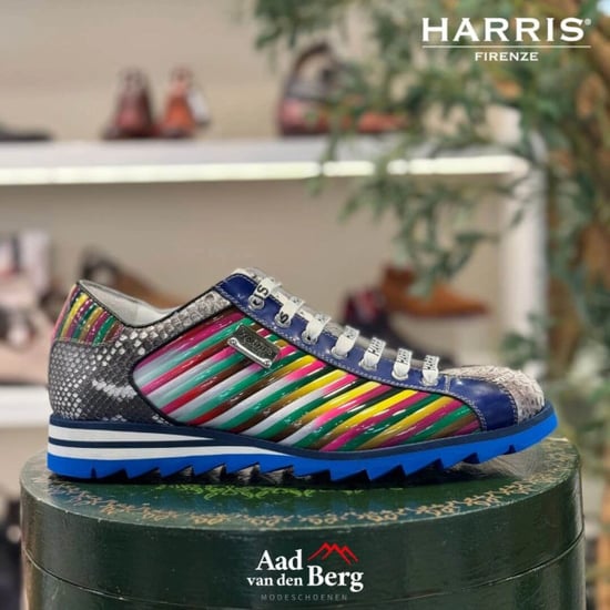 Harris Herenschoenen sneakers - Image 5