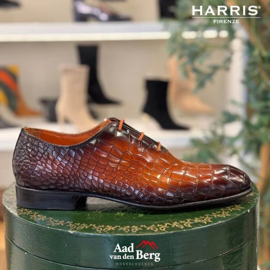 Harris Herenschoenen veterschoenen - Image 4